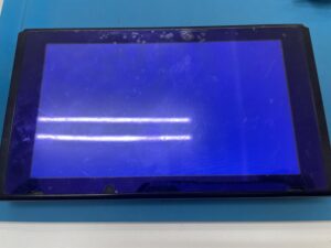 Switchのブルースクリーン